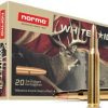 0055_.270-win-130gr-1