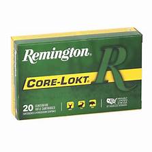 Remington Core-Lokt .30-06 Springfield 220 grain PSP Pointed Soft Point (20 rd box)