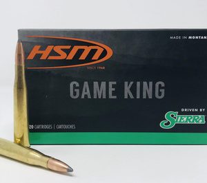 HSM 300 H&H 180 grain Sierra GameKing SPBT (20 rd box)
